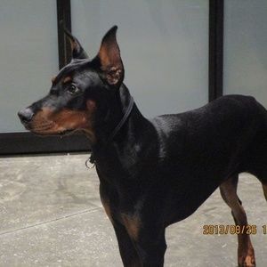 Meet your Posher, Tika